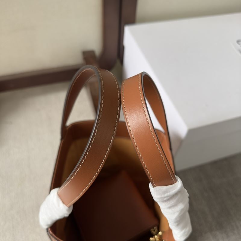 Celine Triomphe Bags